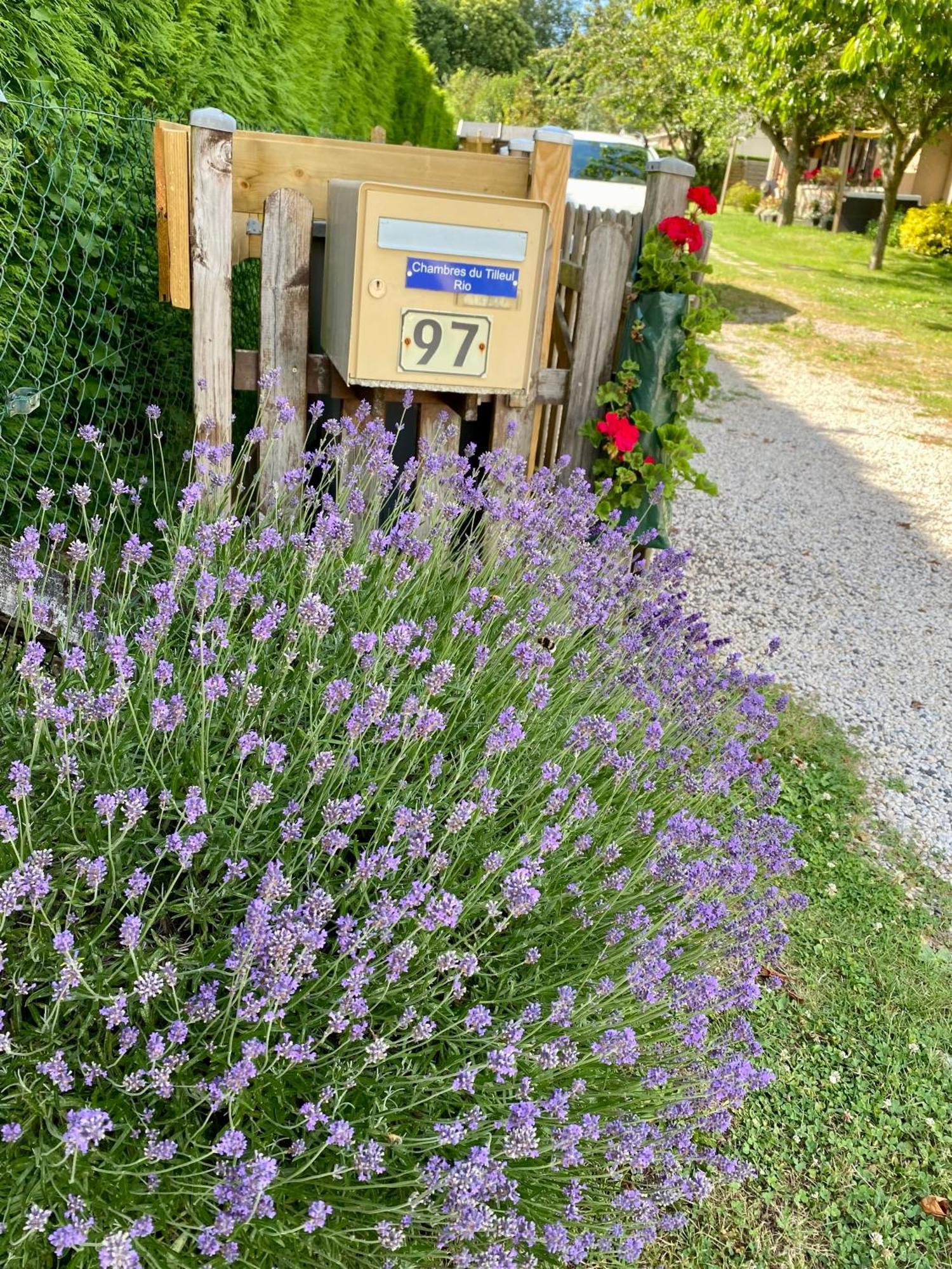 Chambres Tout Confort Du Tilleul Bosc-Benard-Commin Exteriör bild